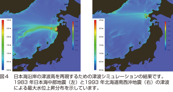 図4　日本海沿岸の津波高を再現するための津波シミュレーションの結果です。
1983年日本海中部地震（左）と1993 年北海道南西沖地震（右）の津波による最大水位上昇分布を示しています。