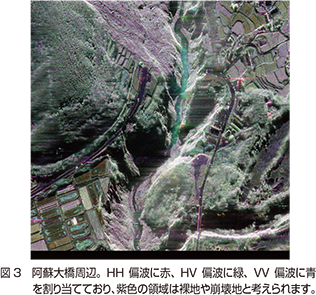 図3　阿蘇大橋周辺。HH偏波に赤、HV偏波に緑、VV偏波に青を割り当てており、紫色の領域は裸地や崩壊地と考えられます。