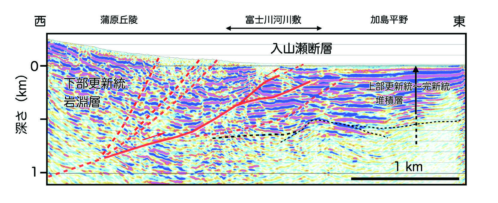 図3　富士川を横断する高分解能反射法地震探査断面の解釈